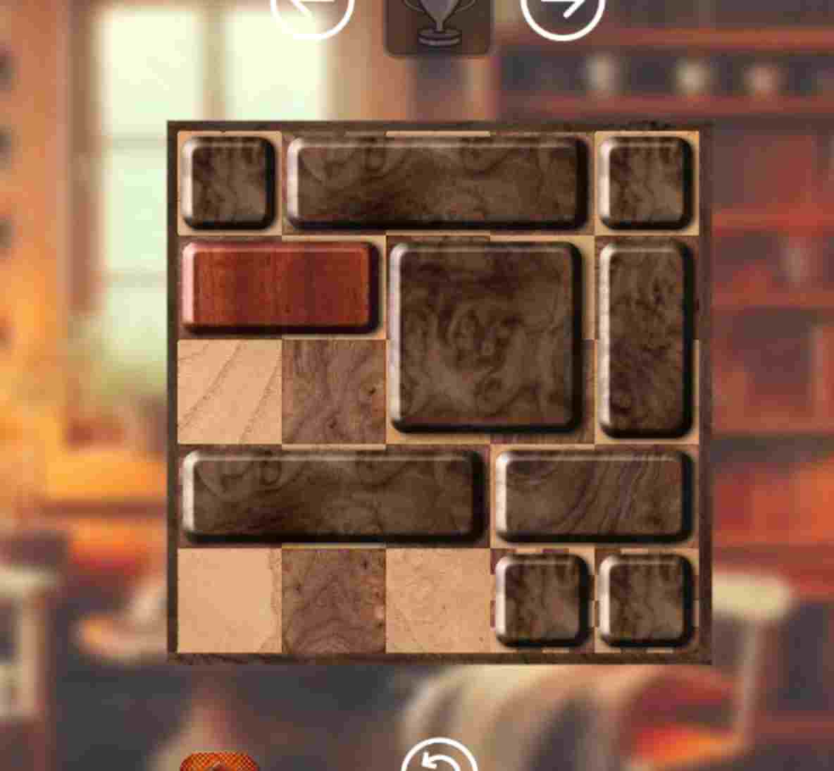 Puzzle en bois - Jeu de logique