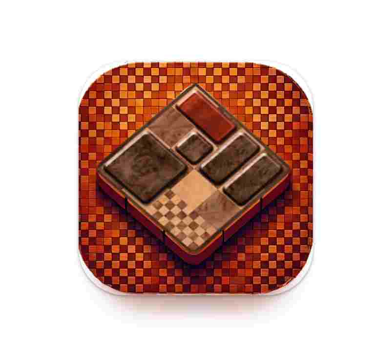 Puzzle en bois - Vue du jeu